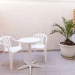 Amaryllis بيريسا