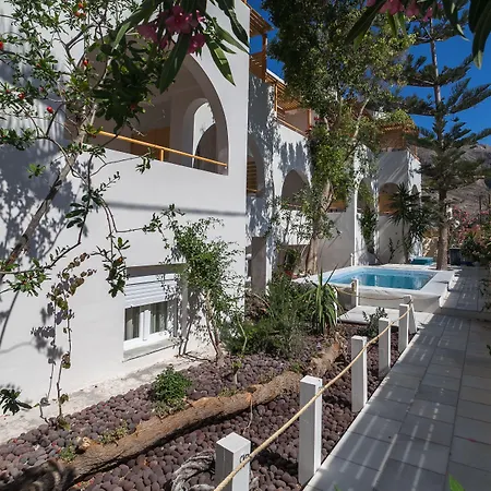 Amaryllis Perissa (Santorini)