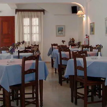 Amaryllis بيريسا