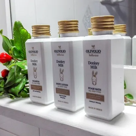 Amaryllis بيريسا