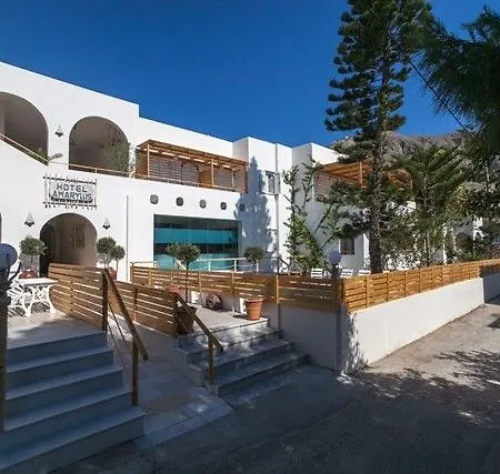 Amaryllis بيريسا