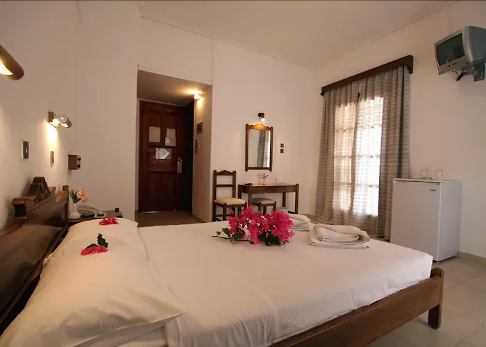 Amaryllis פריסה