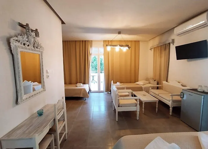 Amaryllis פריסה